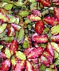 Pepper Tree